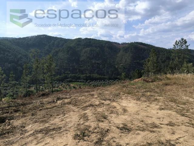 Terrenos Castelo Branco Castelo Branco DS102586988