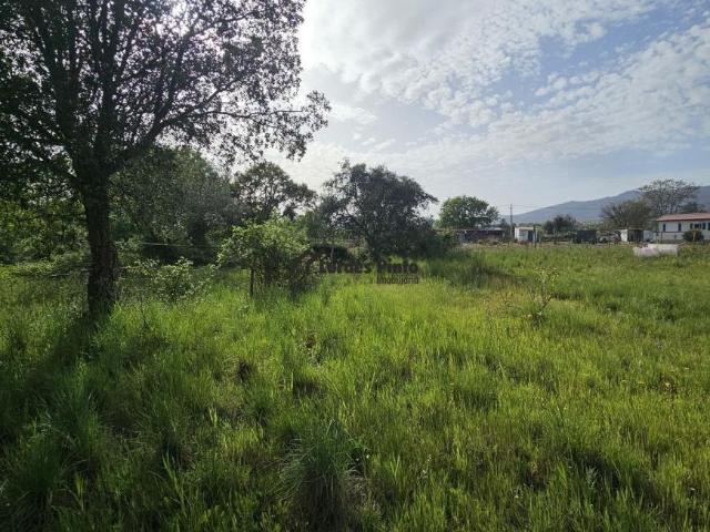 Terrenos Castelo Branco Fundão 6005 DS102467788