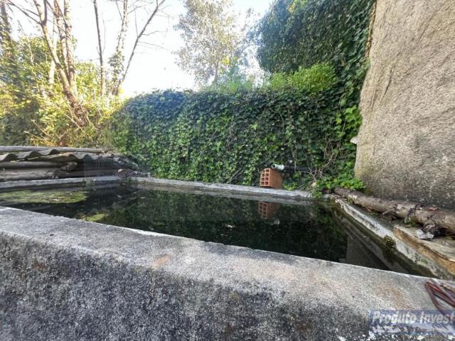 Terrenos Castelo Branco Fundão 6230 DLS101300541