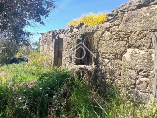 Terrenos Castelo Branco Idanha 6060 DLS102018496