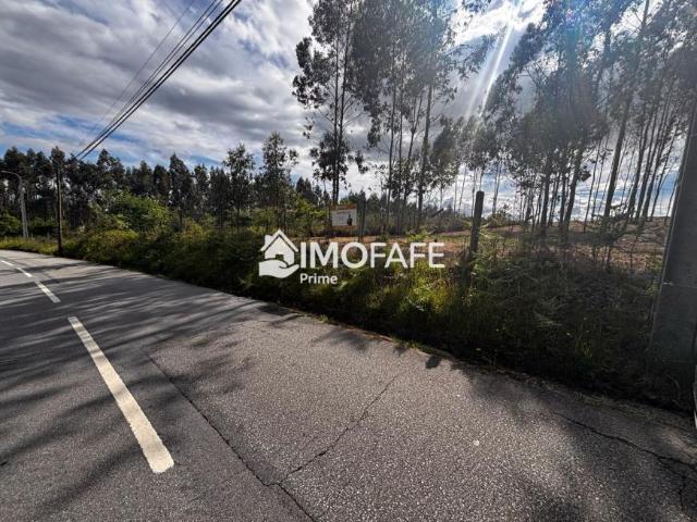 Terrenos Castelo Branco Oleiros 4820 DS102434610