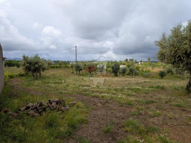 Terrenos Castelo Branco Sertã 6100 DS102518713