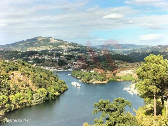 Terrenos Castelo de Paiva Castelo de Paiva DS94088682