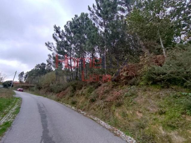 Terrenos Castro Daire Castro Daire DLS87043938