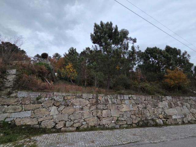 Terrenos Castro Daire Castro Daire DS97267159