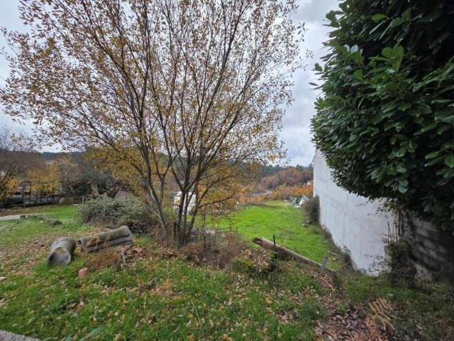 Terrenos Castro Daire Castro Daire DS97267160