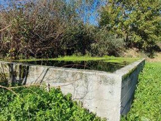 Terrenos Castro Daire Viseu DLS94425933
