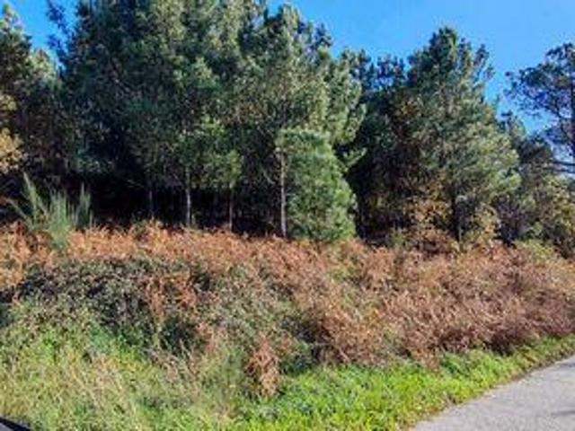 Terrenos Castro Daire Viseu DLS94392440