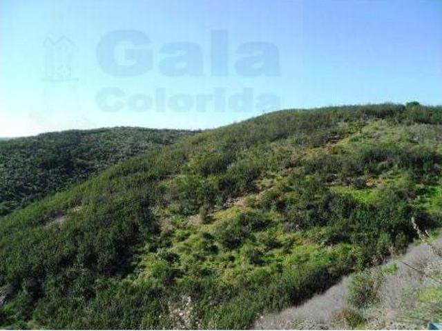 Terrenos Castro Marim Castro Marim DLS98810729