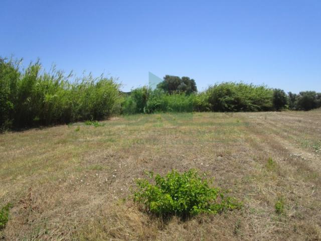 Terrenos Castro Marim Castro Marim DS88474774