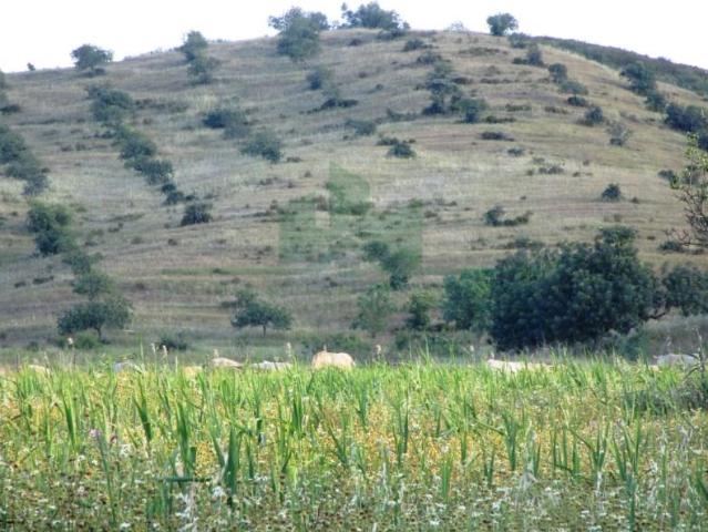 Terrenos Castro Marim Castro Marim DS88202001