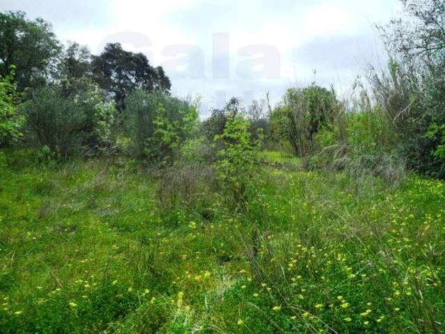 Terrenos Castro Marim Castro Marim DS89912455