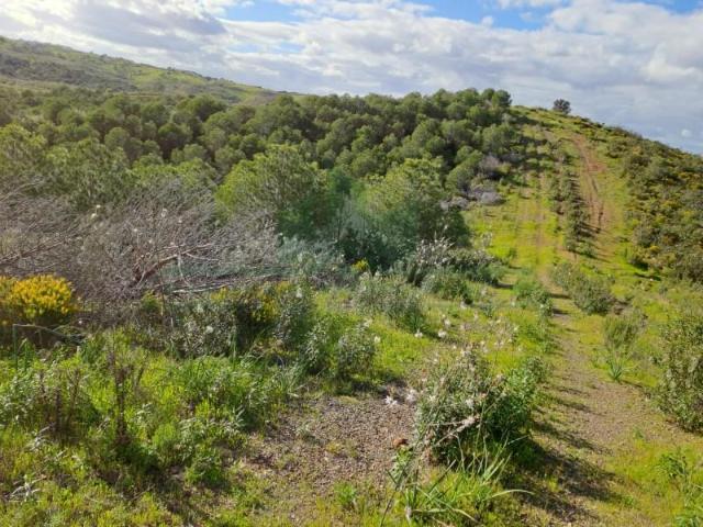 Terrenos Castro Marim Castro Marim DS89232882
