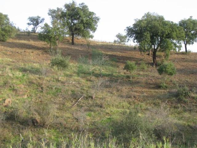 Terrenos Castro Marim Castro Marim DS91004057