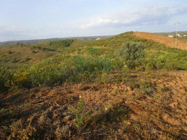 Terrenos Castro Marim Castro Marim DS93548802