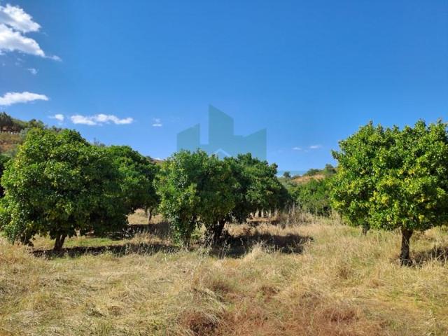 Terrenos Castro Marim Castro Marim DS97120507