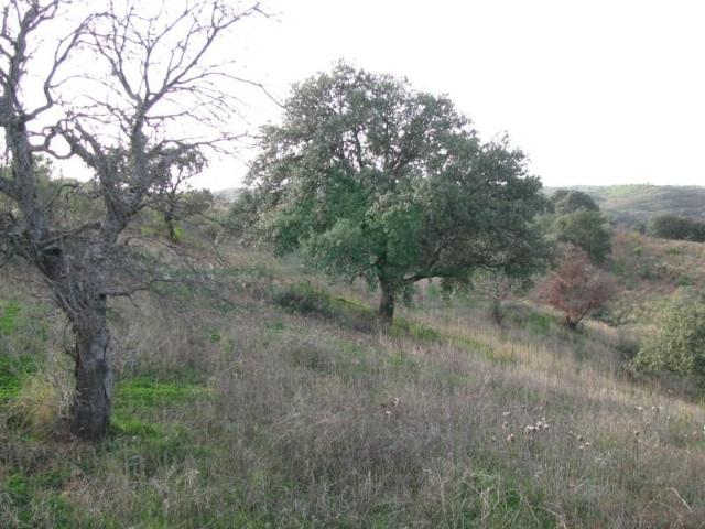 Terrenos Castro Marim Castro Marim DS97124442