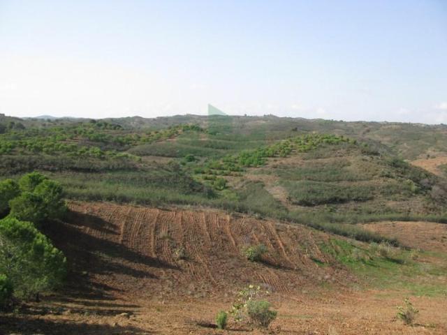 Terrenos Castro Marim Castro Marim DS97124445