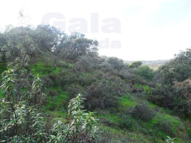 Terrenos Castro Marim Castro Marim DS98727056