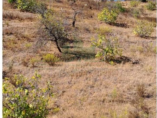 Terrenos Castro Marim Castro Marim DS98024620