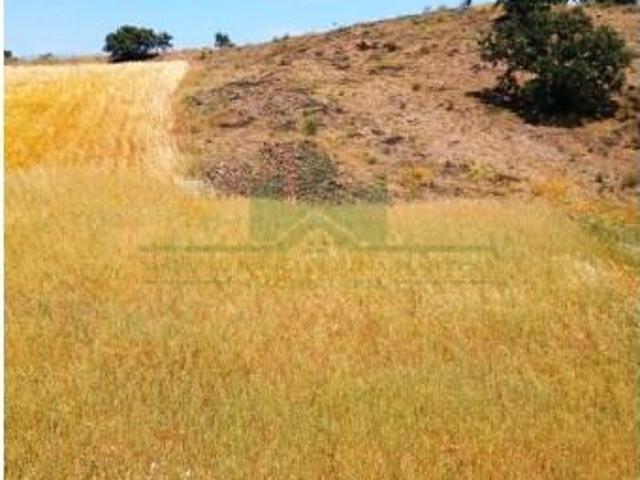 Terrenos Castro Marim Castro Marim DS98024622