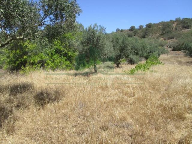 Terrenos Castro Marim Castro Marim DS99110591