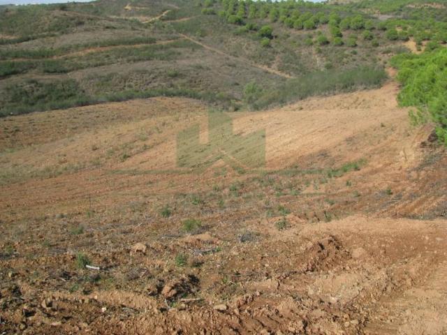 Terrenos Castro Marim Castro Marim DS99178679