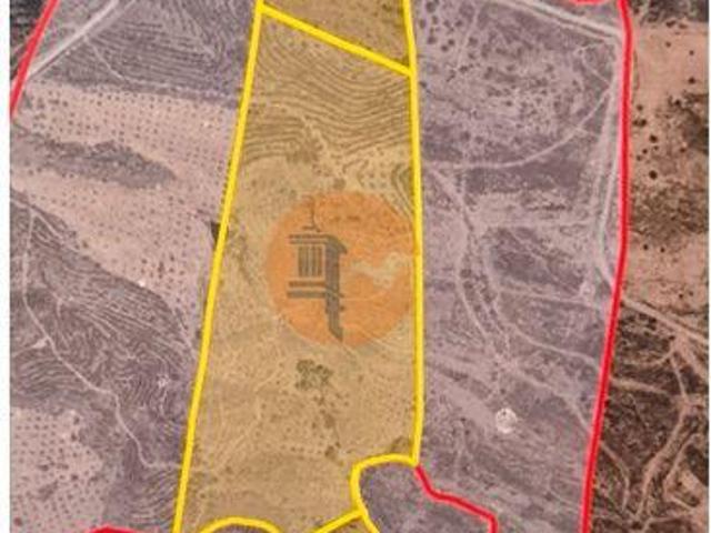 Terrenos Castro Marim Faro 8950 DS96329524