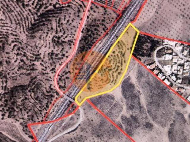 Terrenos Castro Marim Faro 8950 000 DLS96329707