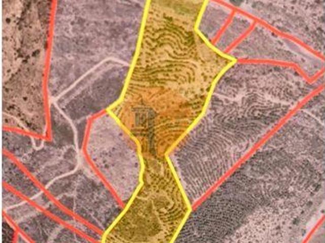 Terrenos Castro Marim Faro 8950 000 DS100365984