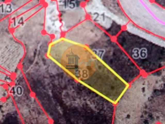 Terrenos Castro Marim Faro DLS96316268