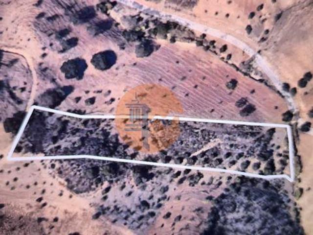 Terrenos Castro Marim Faro DLS96316325