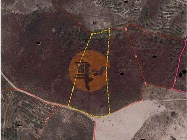 Terrenos Castro Marim Faro DLS96319733