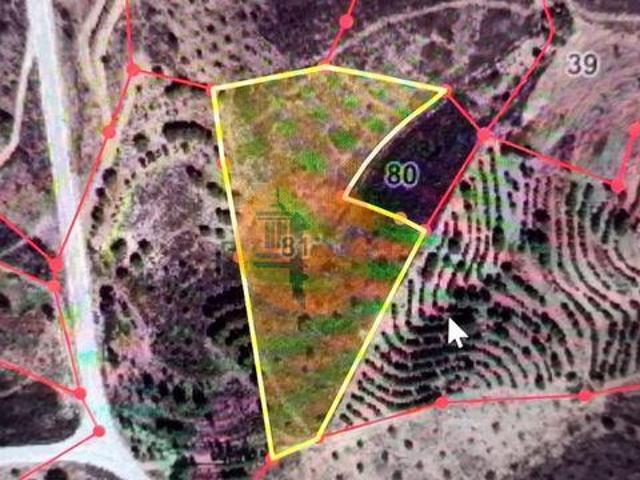 Terrenos Castro Marim Faro DLS96322862