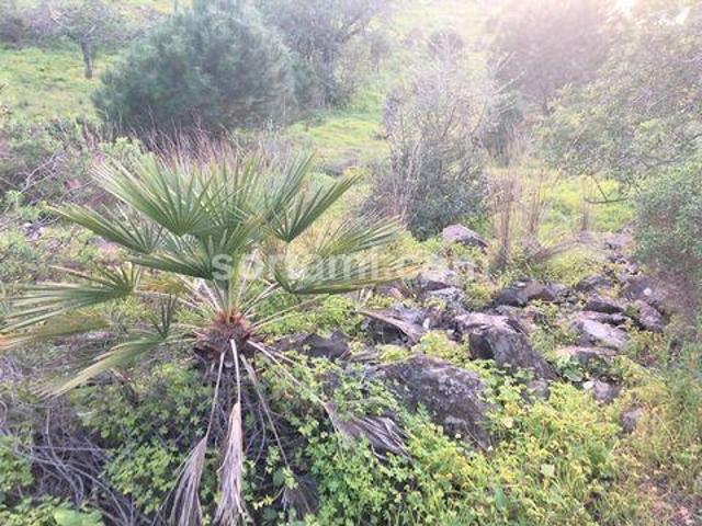 Terrenos Castro Marim Faro DLS96331000