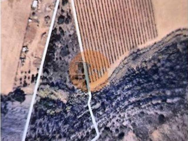 Terrenos Castro Marim Faro DLS96681627