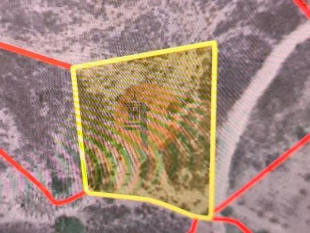 Terrenos Castro Marim Faro DLS96891234