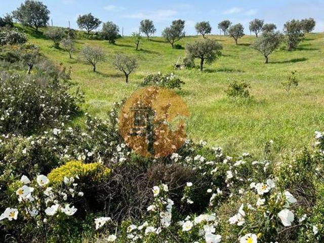 Terrenos Castro Marim Faro DLS101061636
