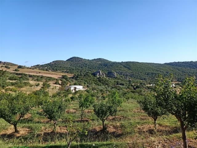 Terrenos Casares Málaga 78120959