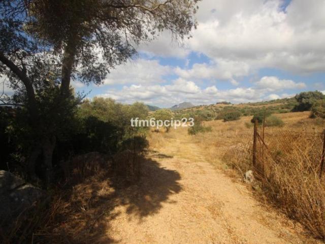 Terrenos Casares Málaga 100298918