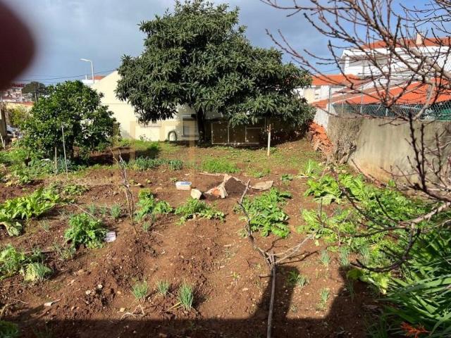 Terrenos Cascais Cascais DLS99381755