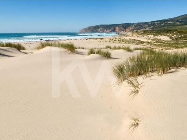 Terrenos Cascais Cascais DS98499592