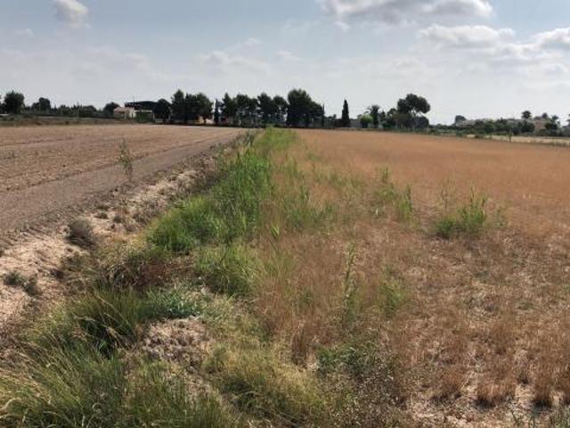 Terrenos Catral Costa Blanca LS83122306