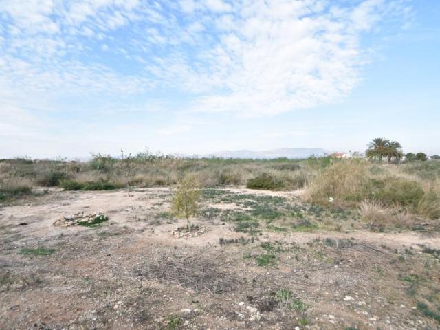 Terrenos Catral Costa Blanca LS99035587