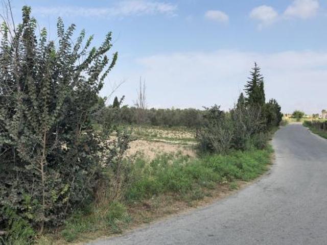 Terrenos Catral Costa Blanca 83122301