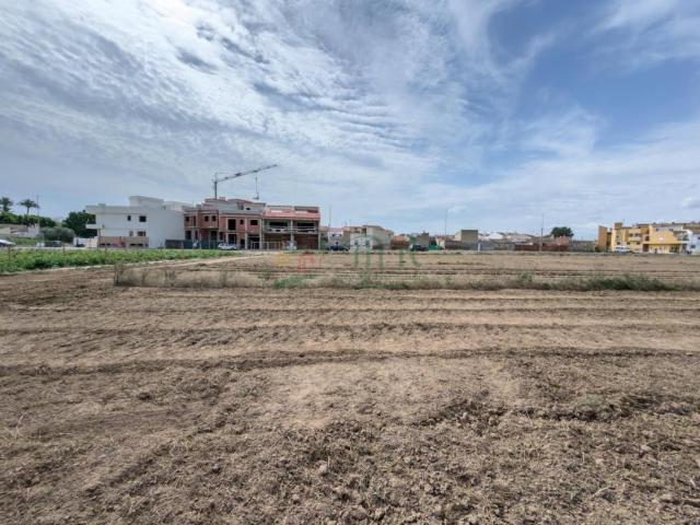 Terrenos Catral Alicante 102952269