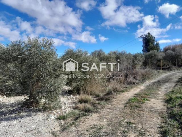 Terrenos Cehegin Murcia LS99005893