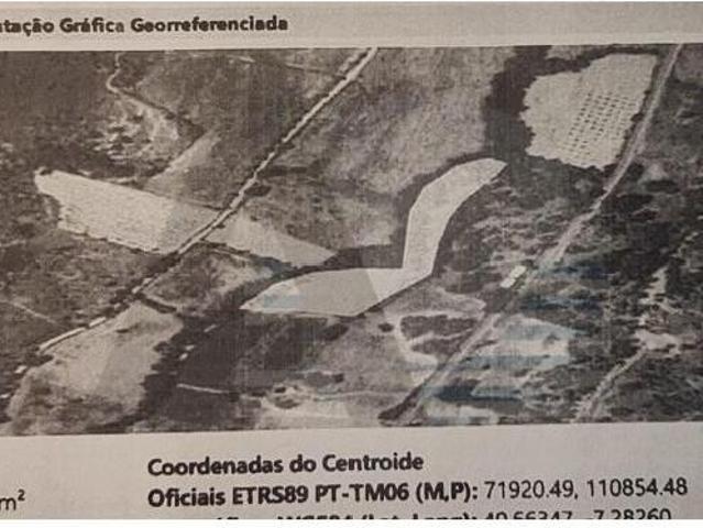 Terrenos Celorico da Beira Celorico da Beira DLS98188470