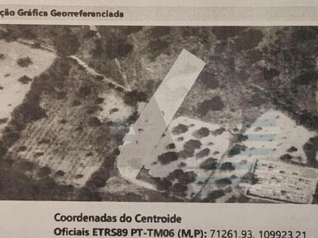 Terrenos Celorico da Beira Celorico da Beira DLS98892515