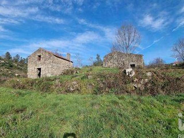 Terrenos Celorico Da Beira Guarda DS99889482